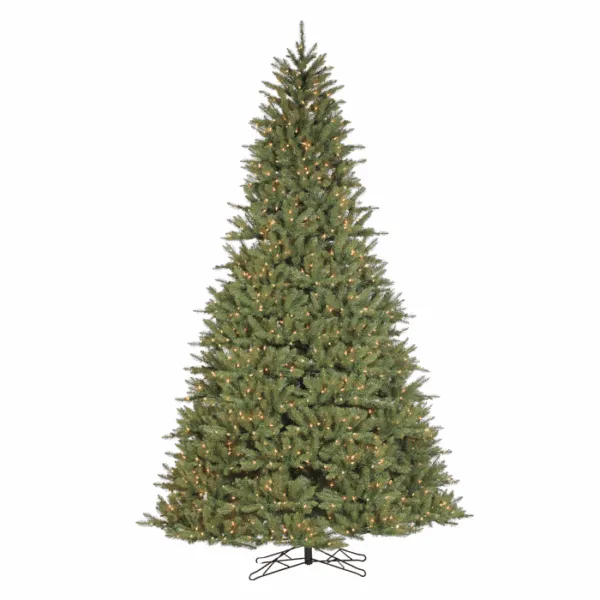 7.5 Fairhaven Spruce (M)