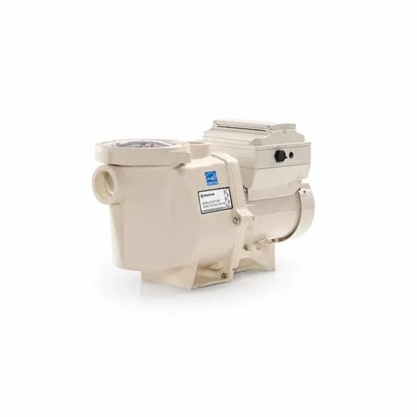 INTELLIFLO VSF 3HP Variable Speed Pump