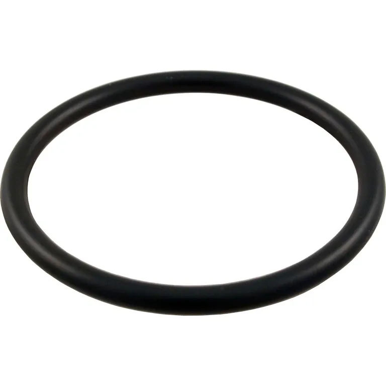 Pentair - O-Ring for Triton II, Bulkhead, O-179