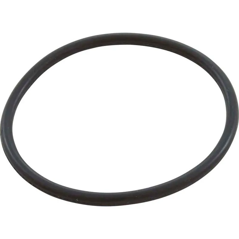 Speck Pumps 2920241220 O-Ring, Speck E45, Union