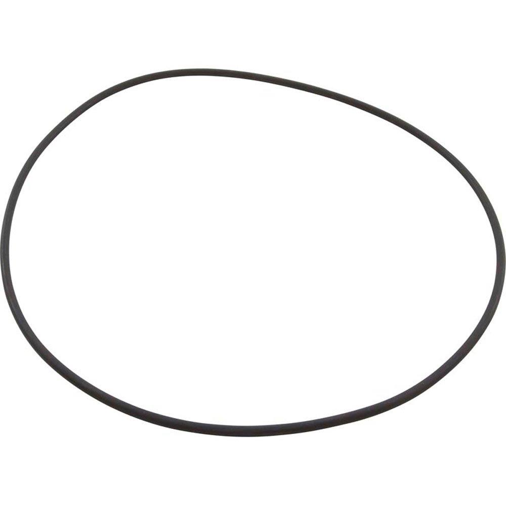 Speck Pumps - Casing O-Ring